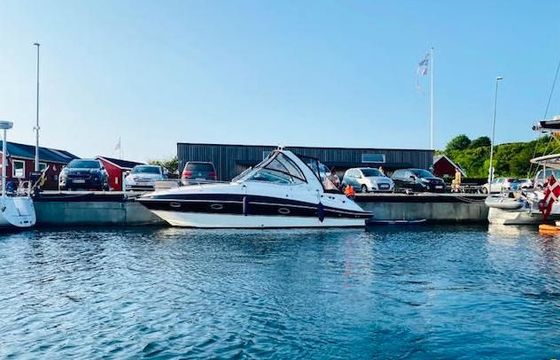 Cruisers 300 Cxi