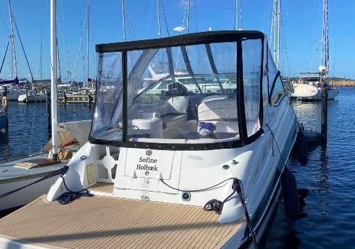 Cruisers 300 Cxi