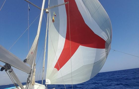 Bavaria Cruiser 46