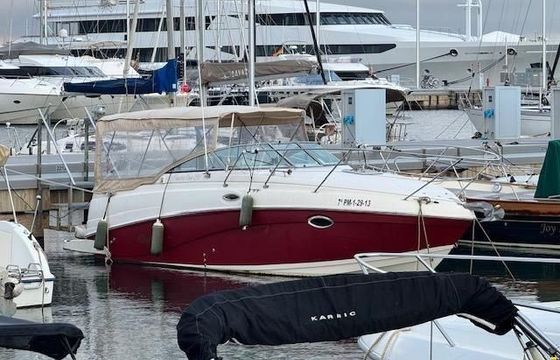 Rinker Fiesta Vee 250