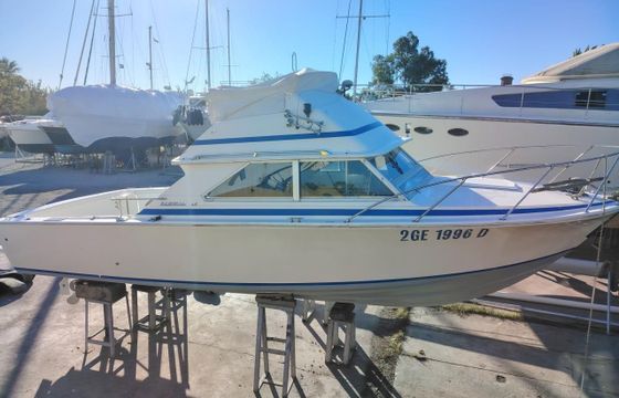 Bertram Yacht 28