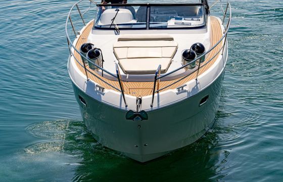 Bavaria SPORT 31