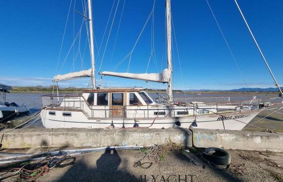 Nauticat 36