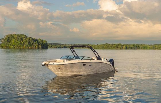 Sea Ray SDX 290 OB Europe