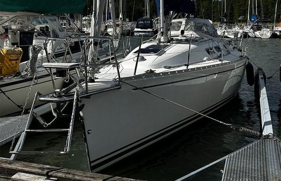 Finngulf 33