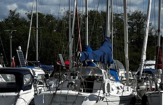 Finngulf 33