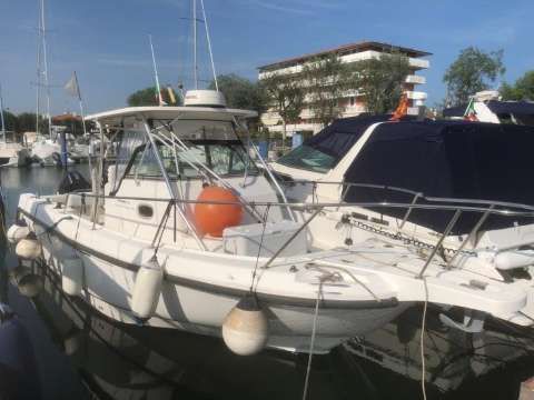 Boston Whaler 15