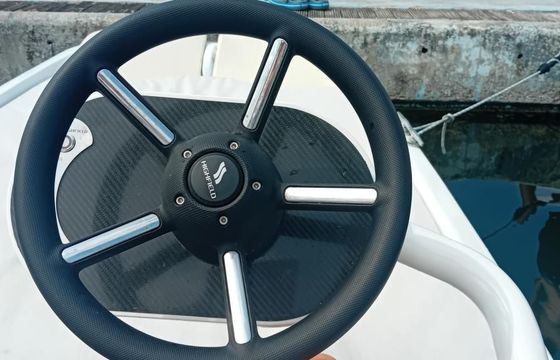 Boston Whaler 15