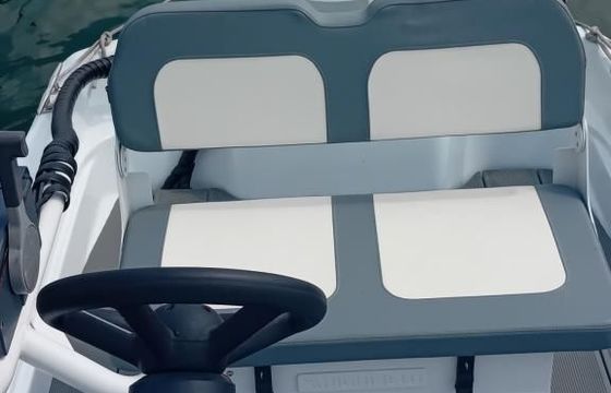 Boston Whaler 15