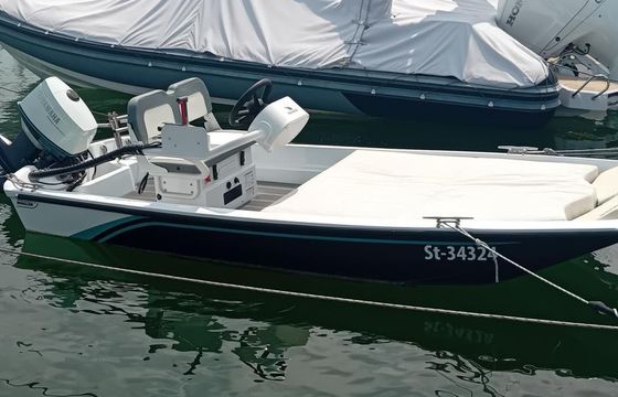 Boston Whaler 15