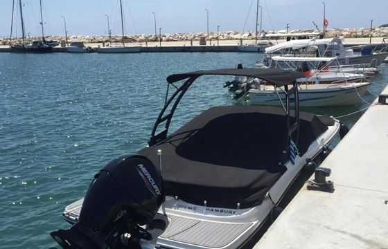 Sea Ray SPX 190 OB