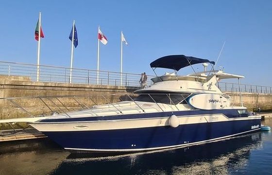 Wellcraft CMY46