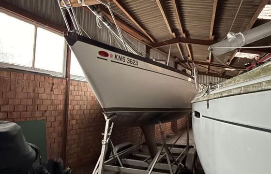 Comar Cornetino 801