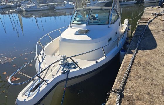 Pursuit 2870 Walkaround