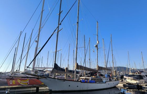 Samson C Baron 55