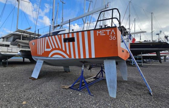 Meta 36