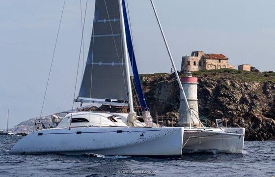 Latini Cat 43