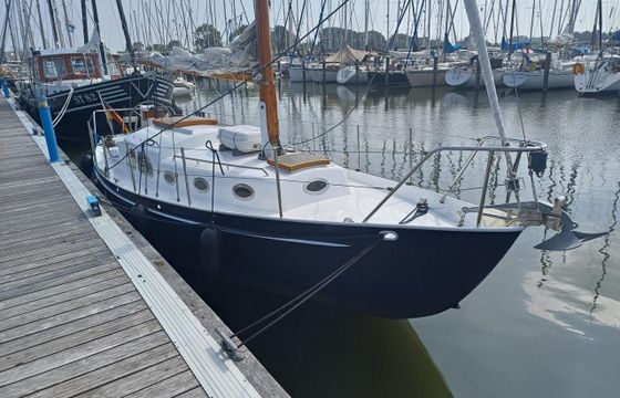 Moerman 29