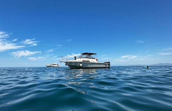 Boston Whaler 27 Full Cabin