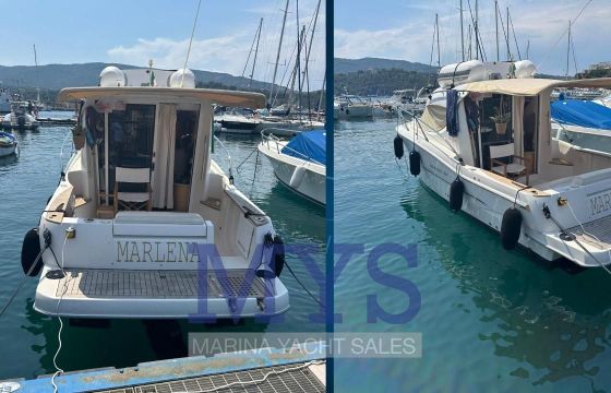 Sessa DORADO 26
