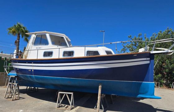 Majoni 42