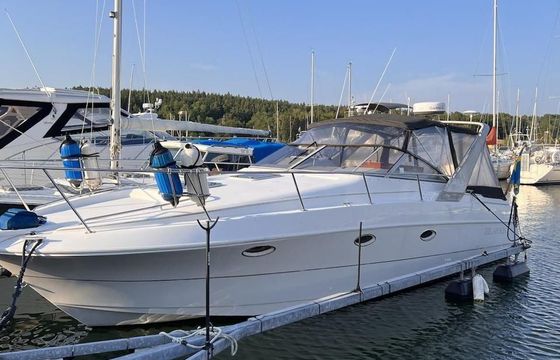 Larson 310 Cabrio