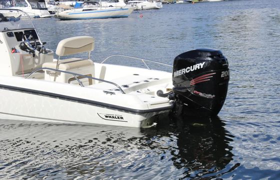 Boston Whaler 210 Dauntless