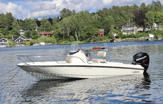 Boston Whaler 210 Dauntless