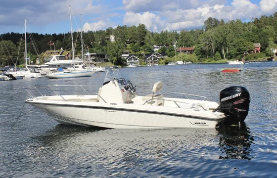 Boston Whaler 210 Dauntless