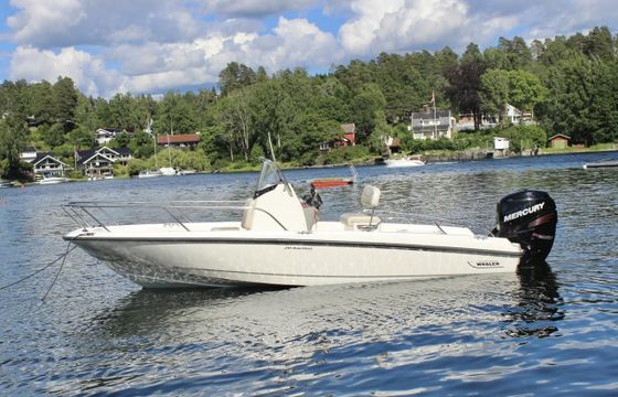 Boston Whaler 210 Dauntless