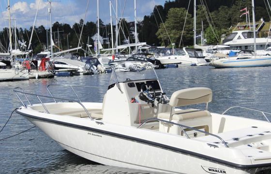 Boston Whaler 210 Dauntless