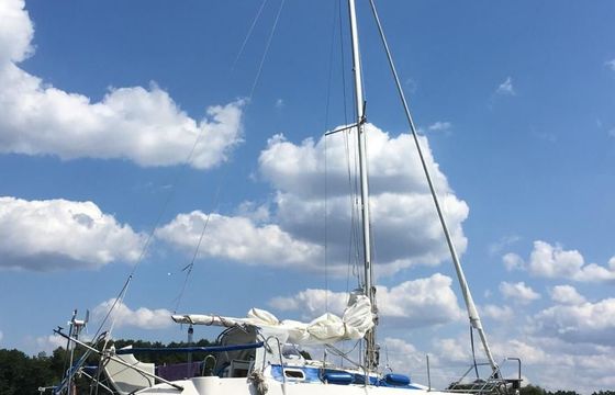 Segelyacht Wayer/Tes 678