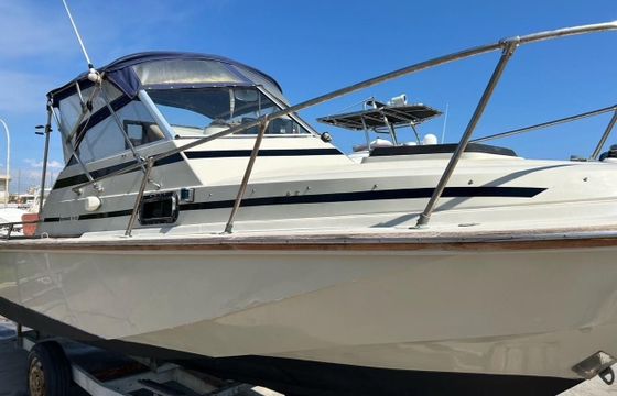 Boston Whaler Revenge 22