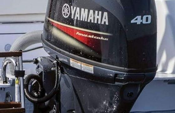 Boat without licence Blueline 19 Open 40hp