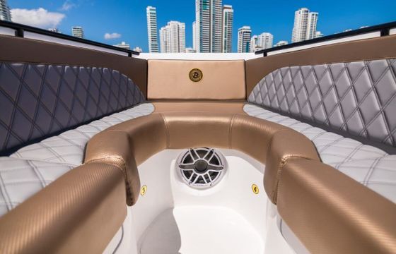 Motorboat Singlar 280 (Bitcoin Limited Edition) 300hp