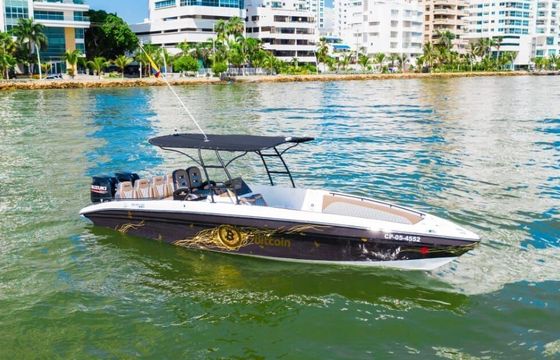 Motorboat Singlar 280 (Bitcoin Limited Edition) 300hp