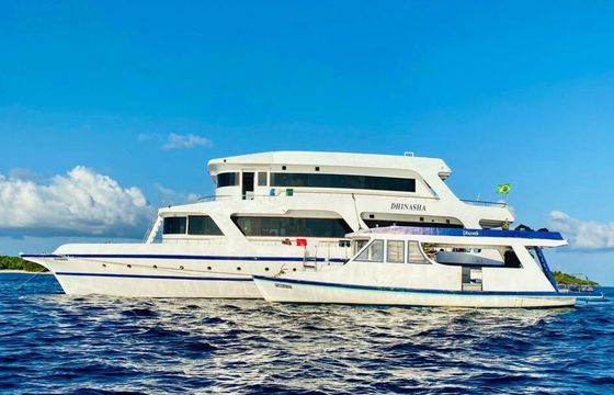 Motor yacht Dhinasha Yacht 300hp