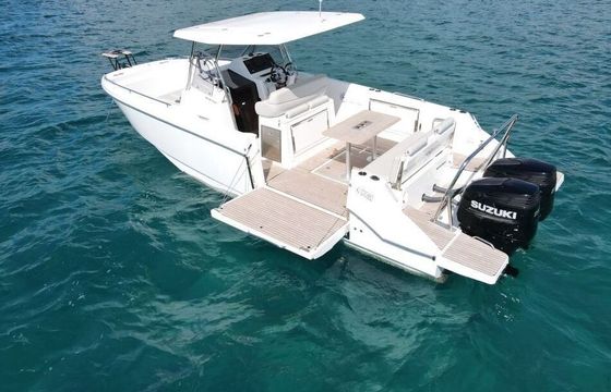 Motorboat BENETEAU FLYER 9 250hp