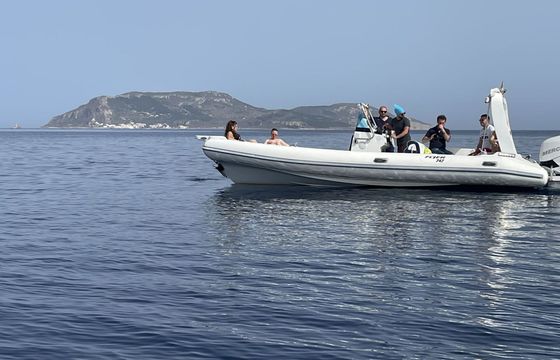 Motorboat Tecno Sport Flyer 747 250hp