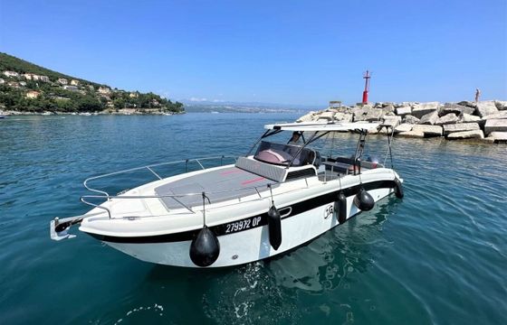Motorboat Saver 870 WA 300hp