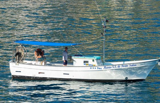 Motorboat Nautica Store Gozzo 280hp