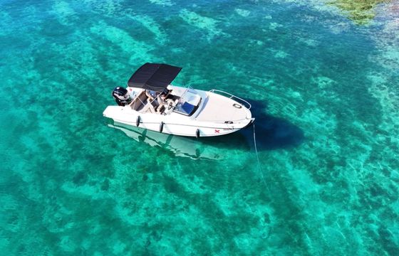 Motorboat Quicksilver Activ 605 Sundeck 130hp