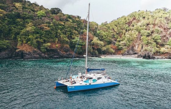 Catamaran Silkline 510 16.15m