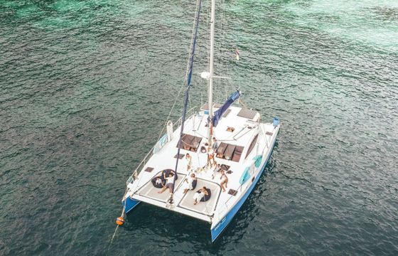 Catamaran Silkline 510 16.15m