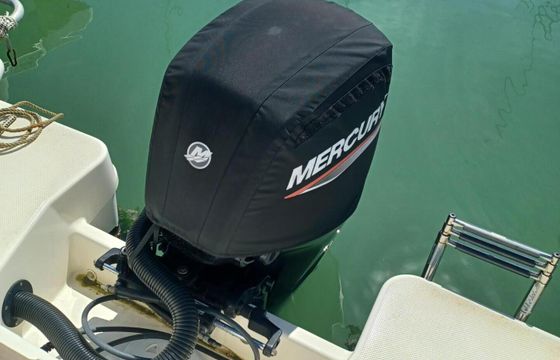 Motorboat Quicksilver Activ 555 Open 100hp