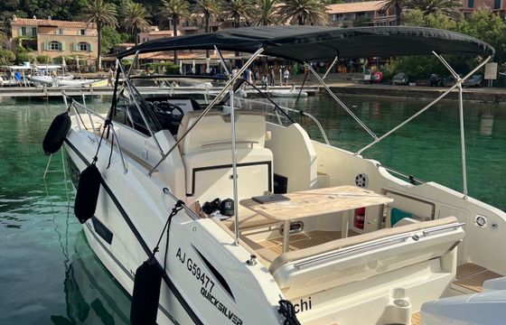 Motorboat Quicksilver Sundeck 875 450hp
