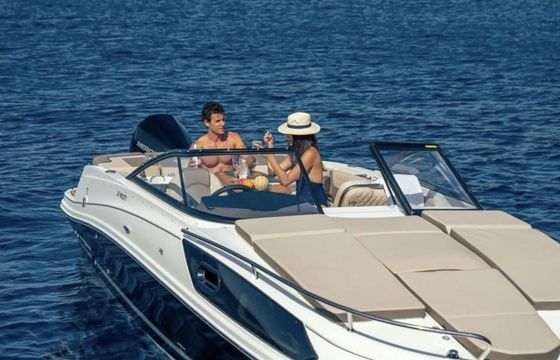 Motorboat Bayliner Vr6 Cuddy 225hp