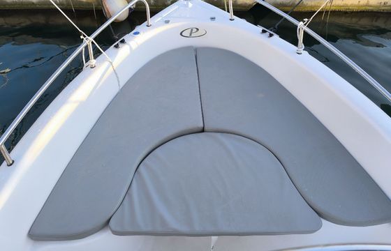 Motorboat Poseidon Blu Water 170 60hp