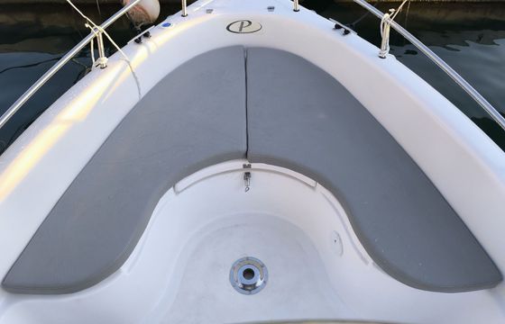 Motorboat Poseidon Blu Water 170 60hp