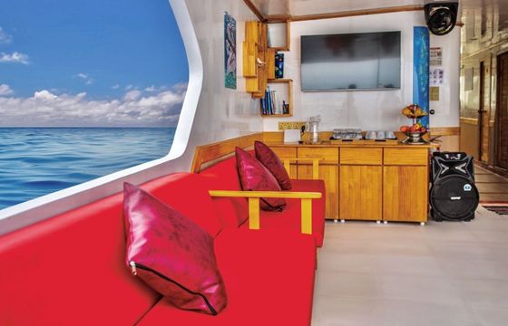 Motorboat Maldives Vessel Typ 326hp